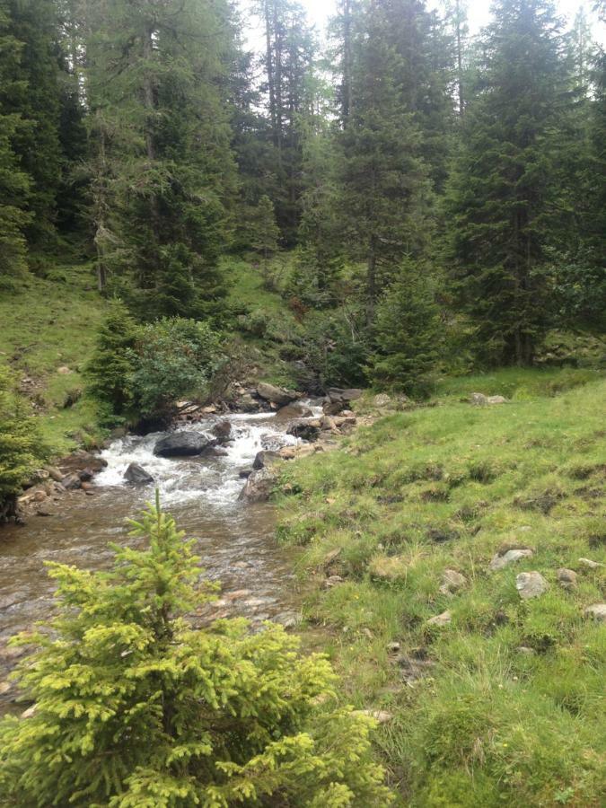 Ferienwohnung Biohof Laussnitzer In Rennweg Rennweg am Katschberg Екстериор снимка